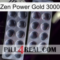 Zen Power Gold 3000 31